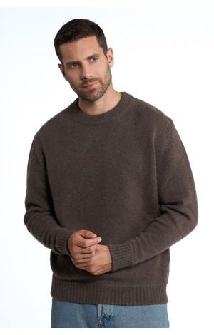 Noah