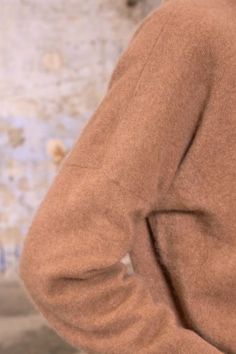 camel #3