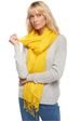 cyber yellow #3