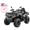 CFMOTO Gladiator X625-A EU5/EU5+ EPS / Velocity Grey - Stříbrná