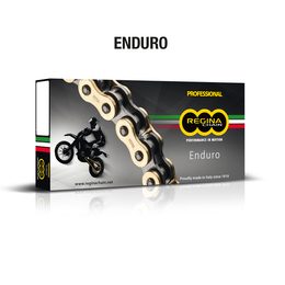 Regina ZR- řetěz 520ZRE 10m role