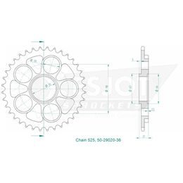 Rozeta 36 zubů stříbrná Ducati