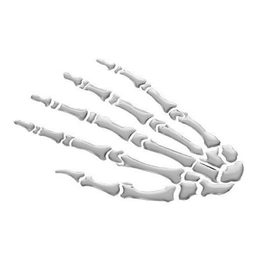Emblém 3D samolepící samolepa "Skeleton Hand" (ruka), chrom, 51-39973, poslední pár