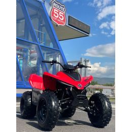 Dětská čtyřkolka CF MOTO X 110 LE