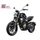 CFMOTO 300CL-X - Starlight Black / Černá Bílá metalická