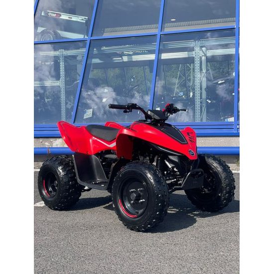 Dětská čtyřkolka CF MOTO X 110 LE