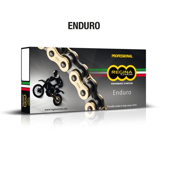 Regina ZR- řetěz 520ZRE 10m role