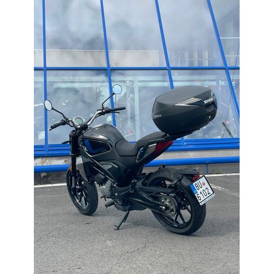 CF MOTO 300 CL-X