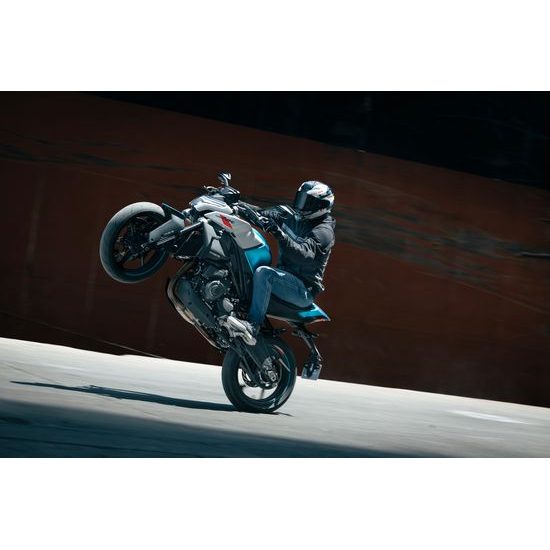 CFMOTO 450NK - Nebula White / Bílá 1 kus IHNED K ODBĚRU ! Všechno příslušenství ihned skladem a můžeme Vám ho ihned namontovat .