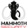 Mammoth security