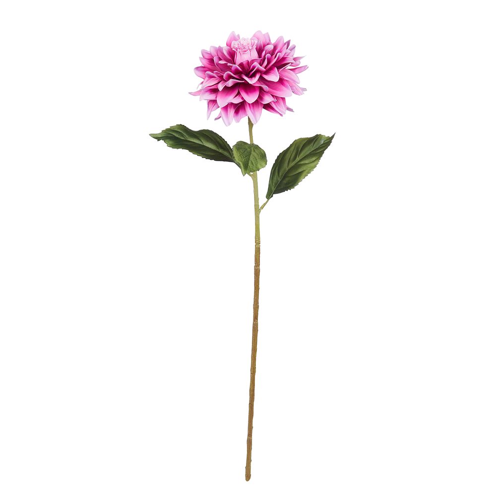 Levně FLORISTA Jiřina 68 cm - růžová