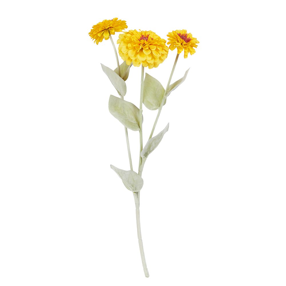 Levně FLORISTA Ostálka 50 cm - žlutá