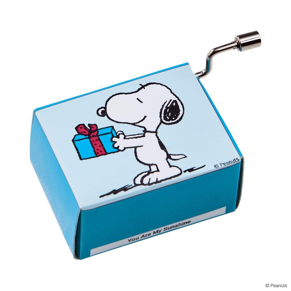 Fotografie SING A SONG Hrací skříňka Snoopy s dárkem A1:P27650