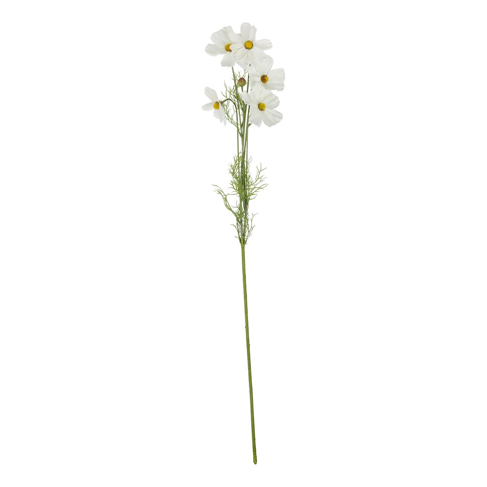 Levně FLORISTA Krásenka 78 cm - bílá