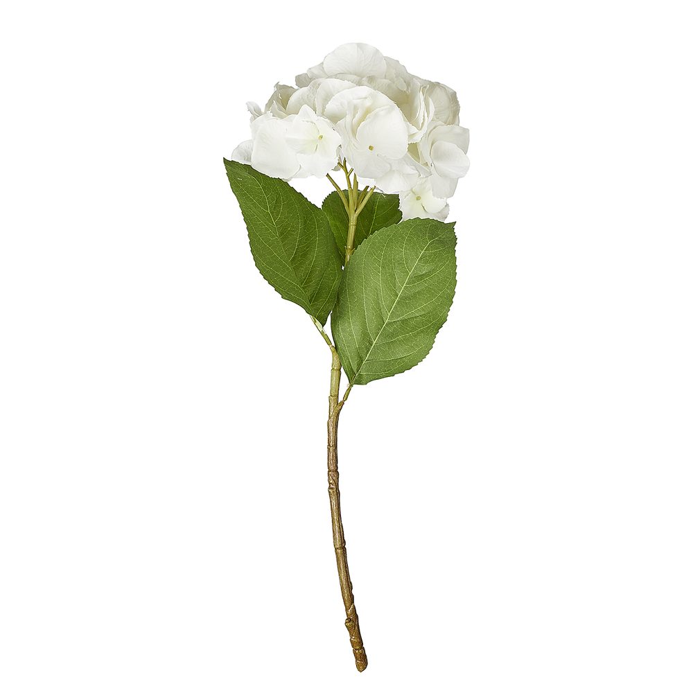 Levně FLORISTA Hortenzie 62 cm - bílá