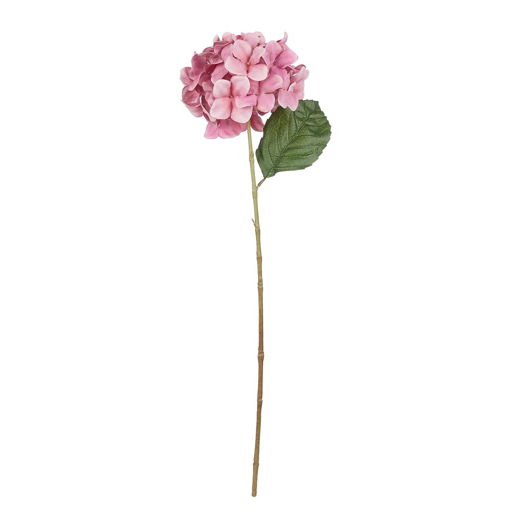 Levně FLORISTA Hortenzie 70 cm - růžová