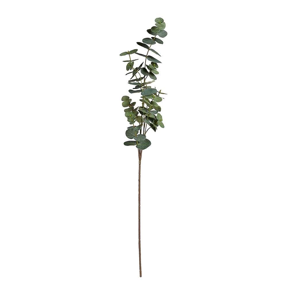 Levně FLORISTA Eukalyptus 88 cm