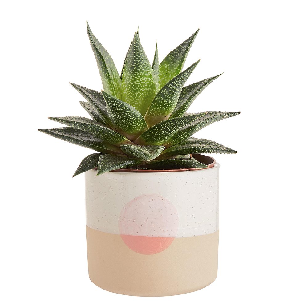 SUNSET Květináč 11 cm - béžová/sv.oranžová (obrázek 4)