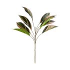 FLORISTA Aglaonema větvička 62 cm - zelená/růžová