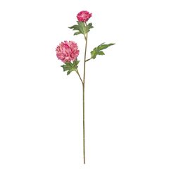 000000001000472205-0