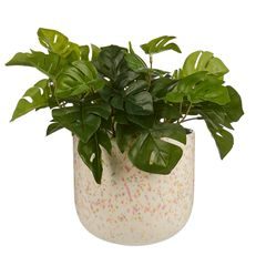 SPOT Květináč 16 cm