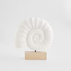 Dekorativní mušle HOME &amp; YOU 23cm bílá