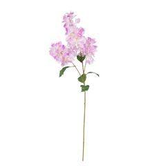 FLORISTA Bougainvillea 105 cm - bílá/růžová