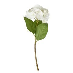 FLORISTA Hortenzie 62 cm - bílá