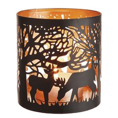 000000001000405698-0