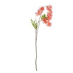 FLORISTA Vistárie 103 cm - oranžová