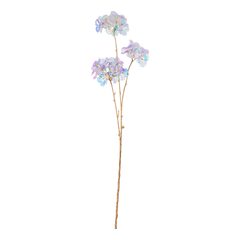 000000001000484645-0