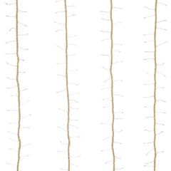 000000001000406556-0