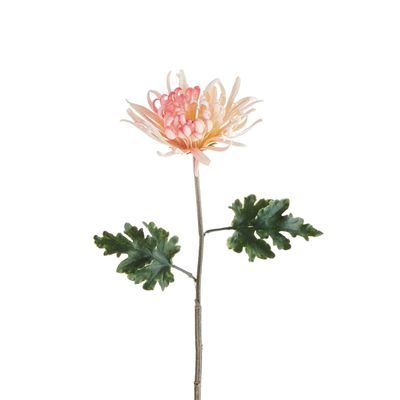 FLORISTA Chryzantéma 68 cm - růžová