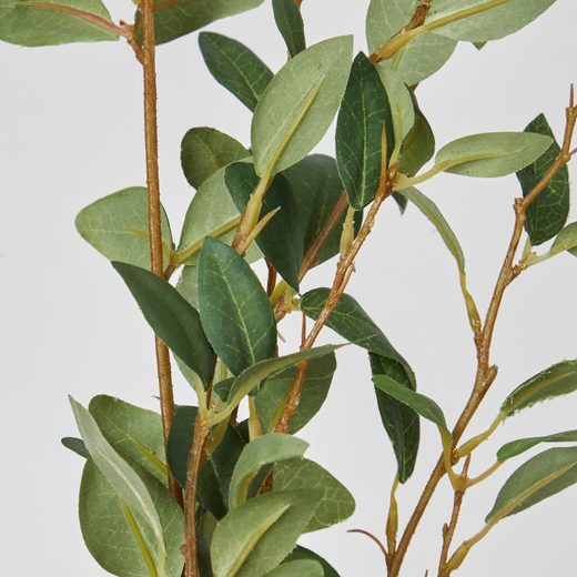 000000001000512741-1