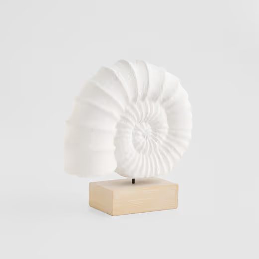 DEKORATIVNÍ MUŠLE HOME &AMP; YOU 23CM BÍLÁ