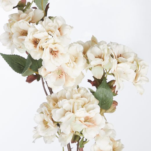 000000001000485233-1