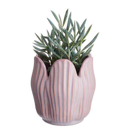 000000001000421444-1