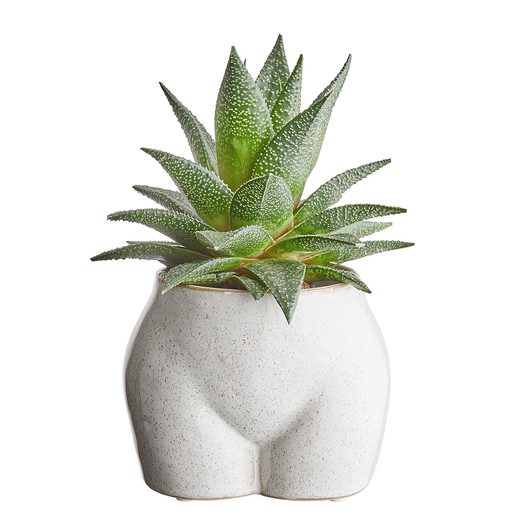 000000001000403757-1