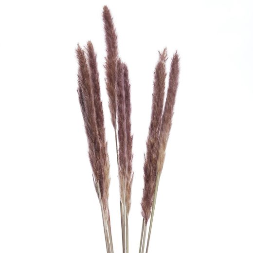 000000001000339871-2