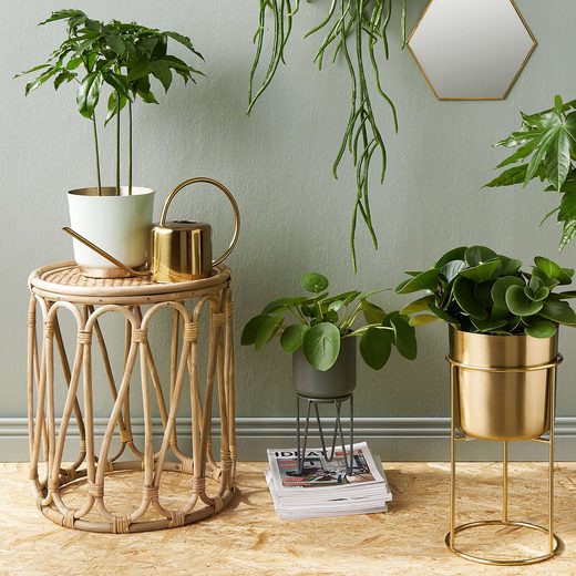 000000001000339686-2