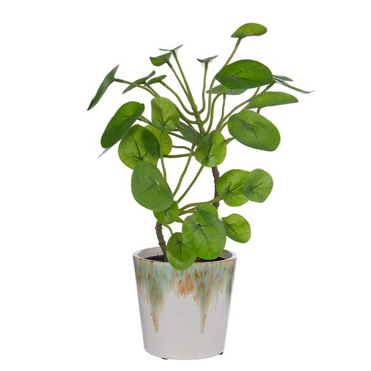 000000001000484994-1