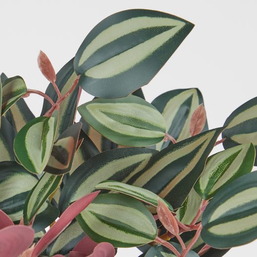 000000001000512743-1