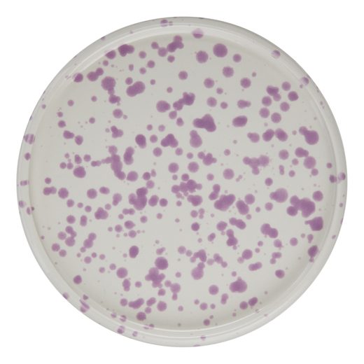 000000001000503765-2