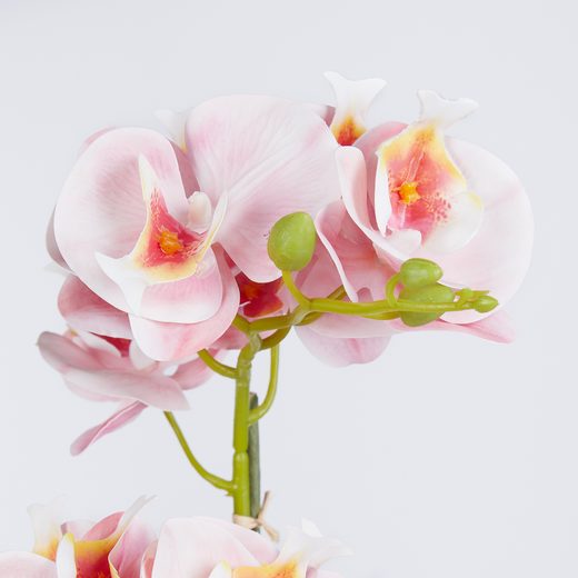 000000001000512745-2