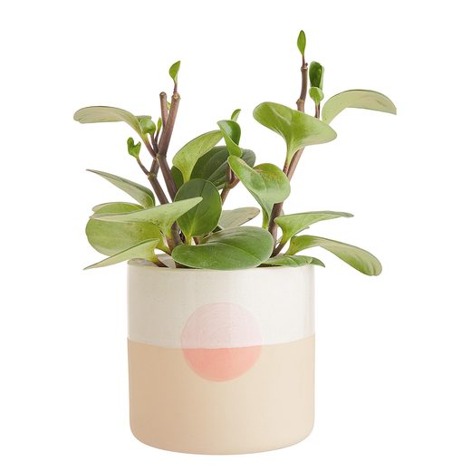 000000001000403752-3