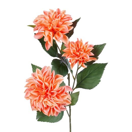 FLORISTA JIŘINA - ORANŽOVÁ
