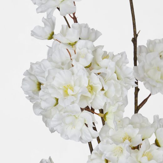 000000001000512071-2