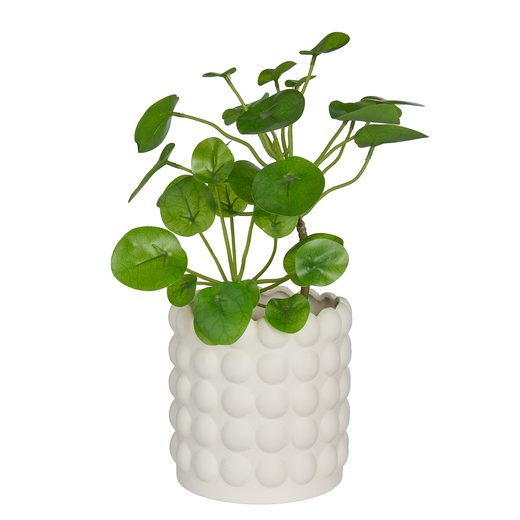 000000001000456322-1