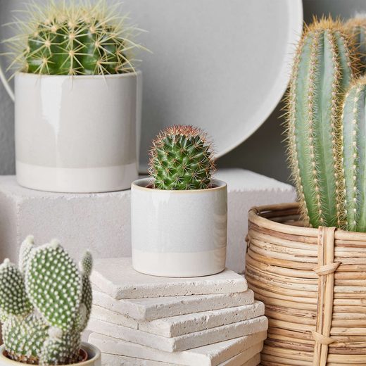 000000001000341420-1