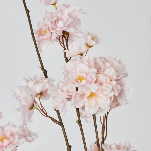 000000001000512727-2